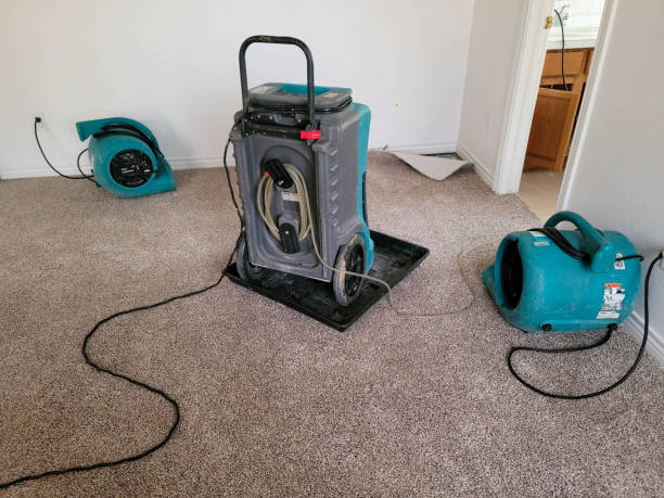 Best Mold removal after water damage  in Lake Of The Pines, CA