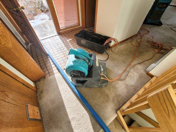 Best Flood damage cleanup  in Lake Of The Pines, CA