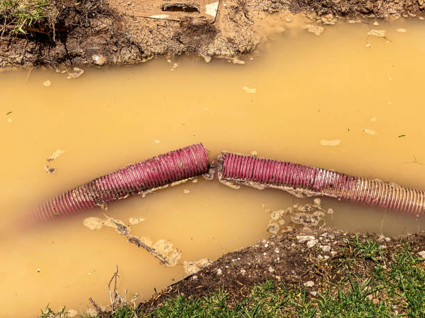  Lake Of The Pines, CA Water damage restoration Pros