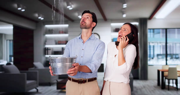 Best Local water damage restoration  in Lake Of The Pines, CA